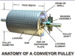 gallery/pullyanotomy